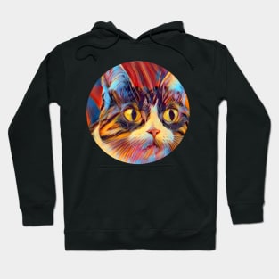 Bright-Eyed mycat, revolution for cats Hoodie